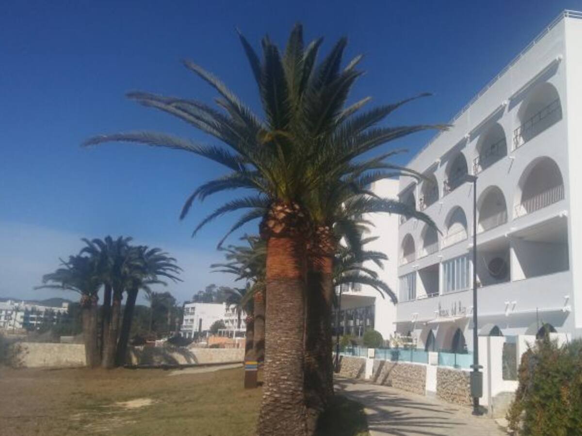 La Ley Turística impide modernizar los hoteles, según el PP