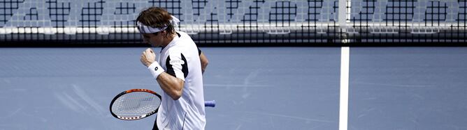 David Ferrer jugará la final del torneo de Valencia