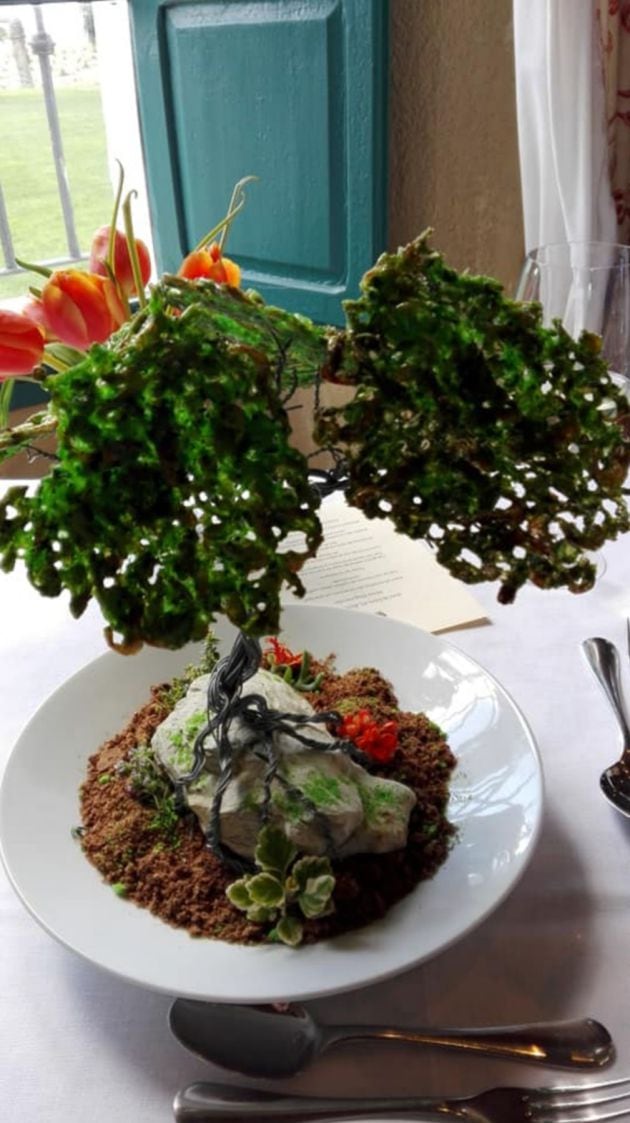 Árbol de tortillitas de camarones con plancton