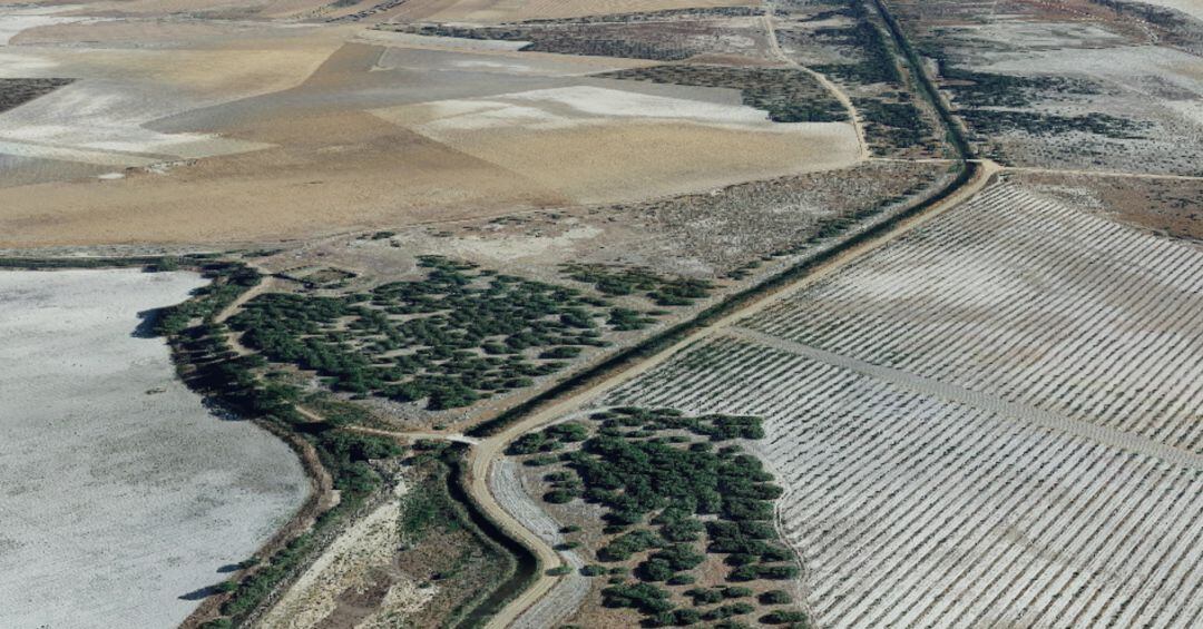 Río Gigüela a su paso por el municipio de Alcázar de San Juan