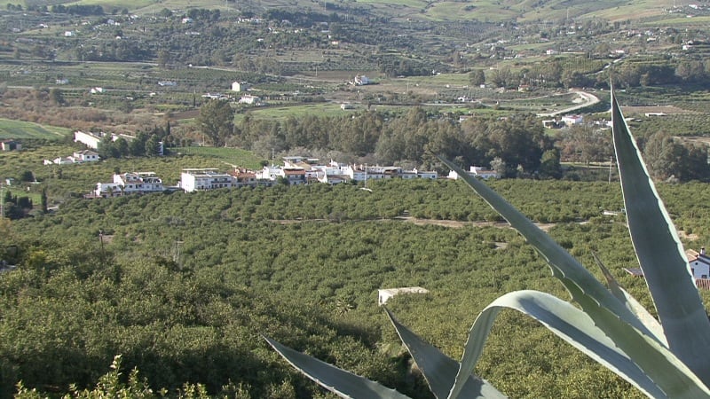 Vega de Pizarra