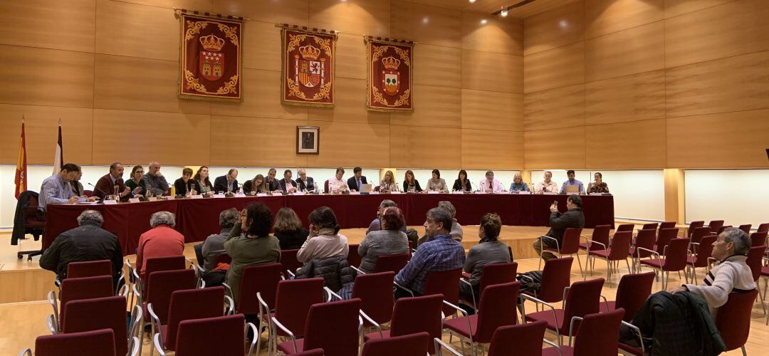 Pleno del mes de diciembre