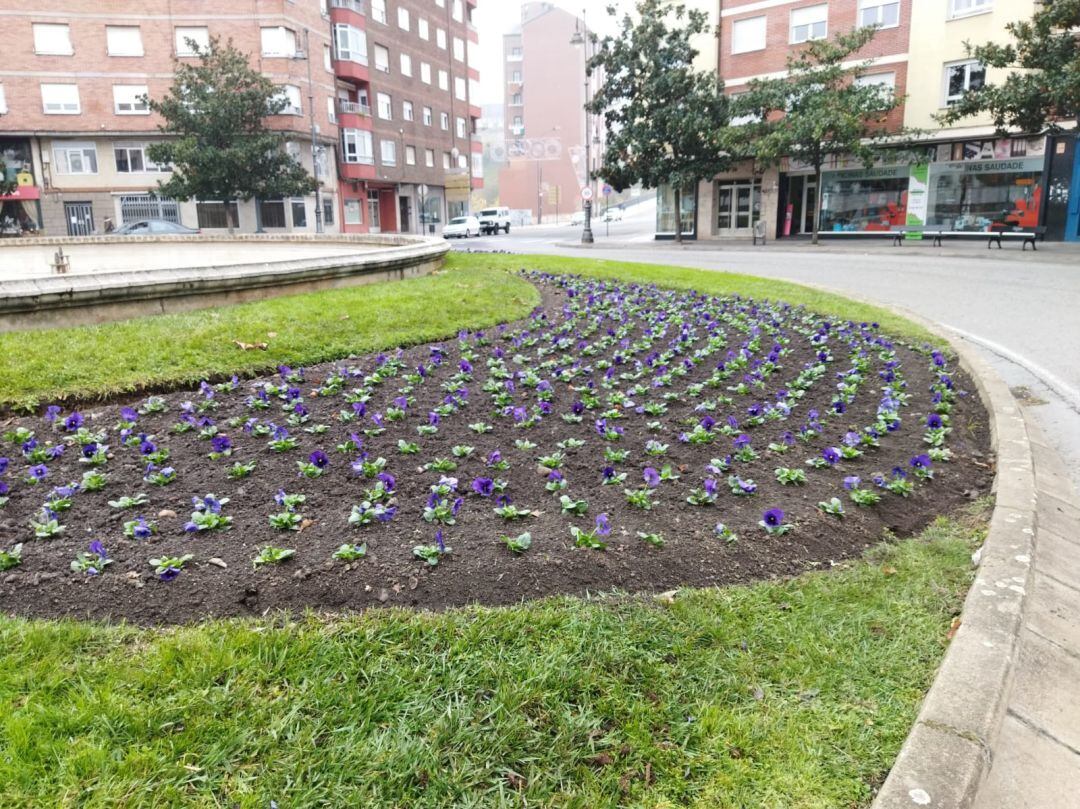 La brigada de Parques y Jardines planta 16.000 flores