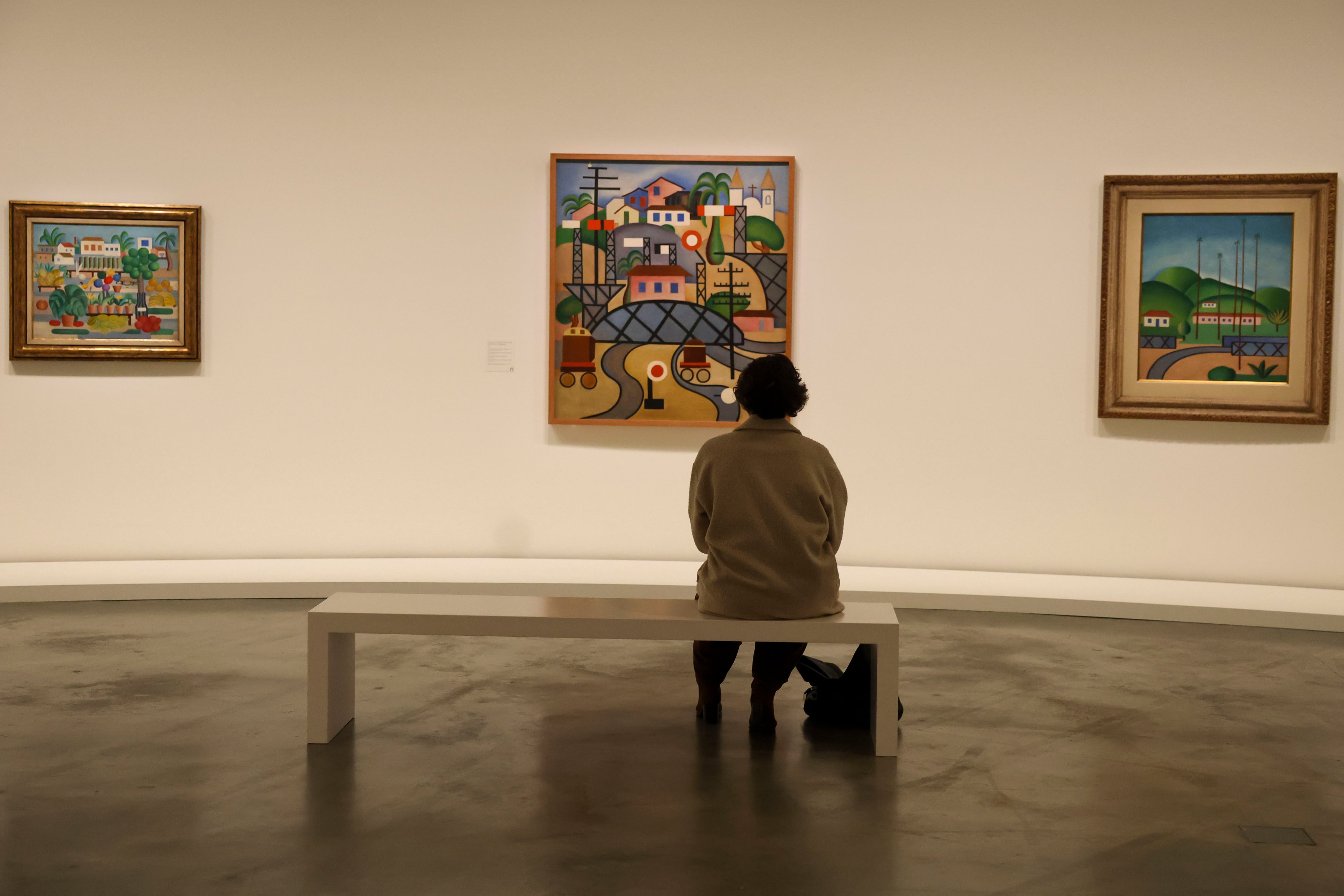 FOTODELDÍA BILBAO, 20/02/2025.-Una persona observa varias obras en el Museo Guggenheim Bilbao de la exposición &#039;Tarsila do Amaral. Pintando el Brasil moderno&quot;, una amplia muestra dedicada a una artista considerada una figura central del modernismo brasileño, que se ha inaugurado este jueves.EFE/Luis Tejido
