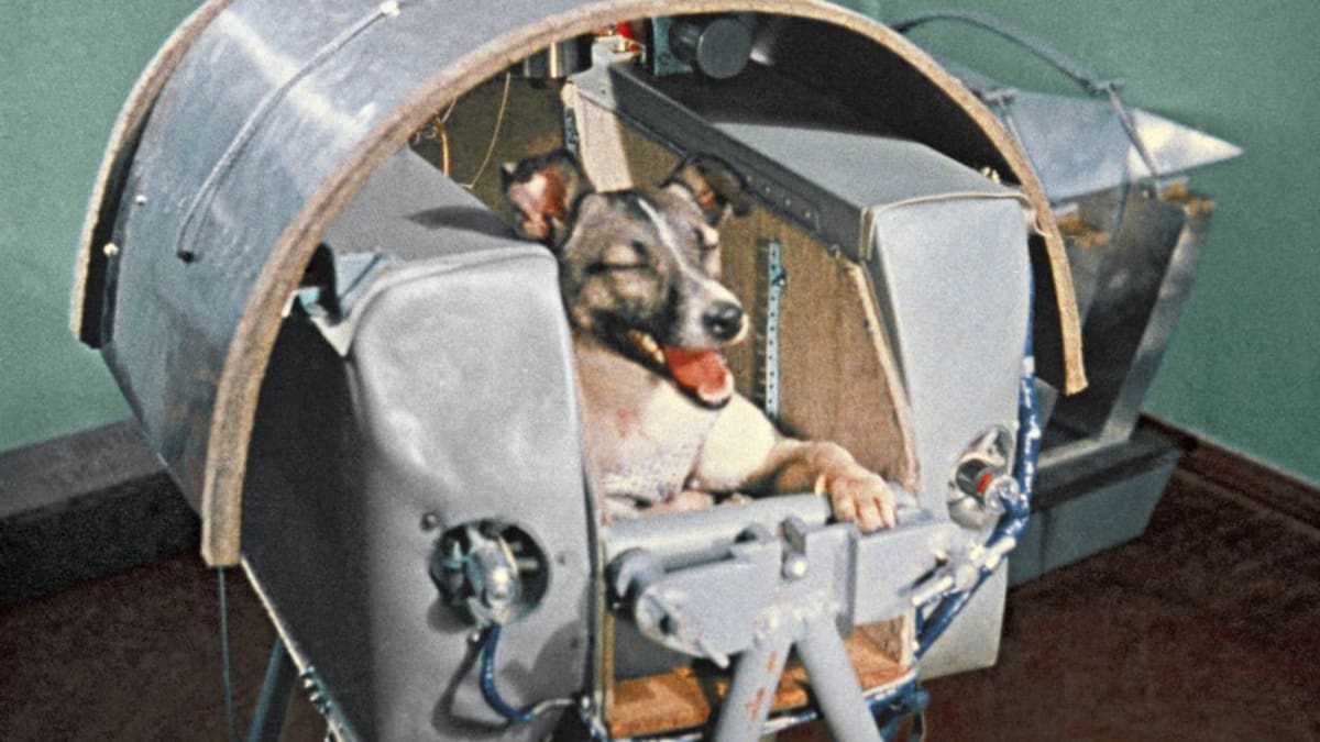 SER Historia | No, Laika no fue el primer animal en llegar al espacio: todo comenzó en 1947