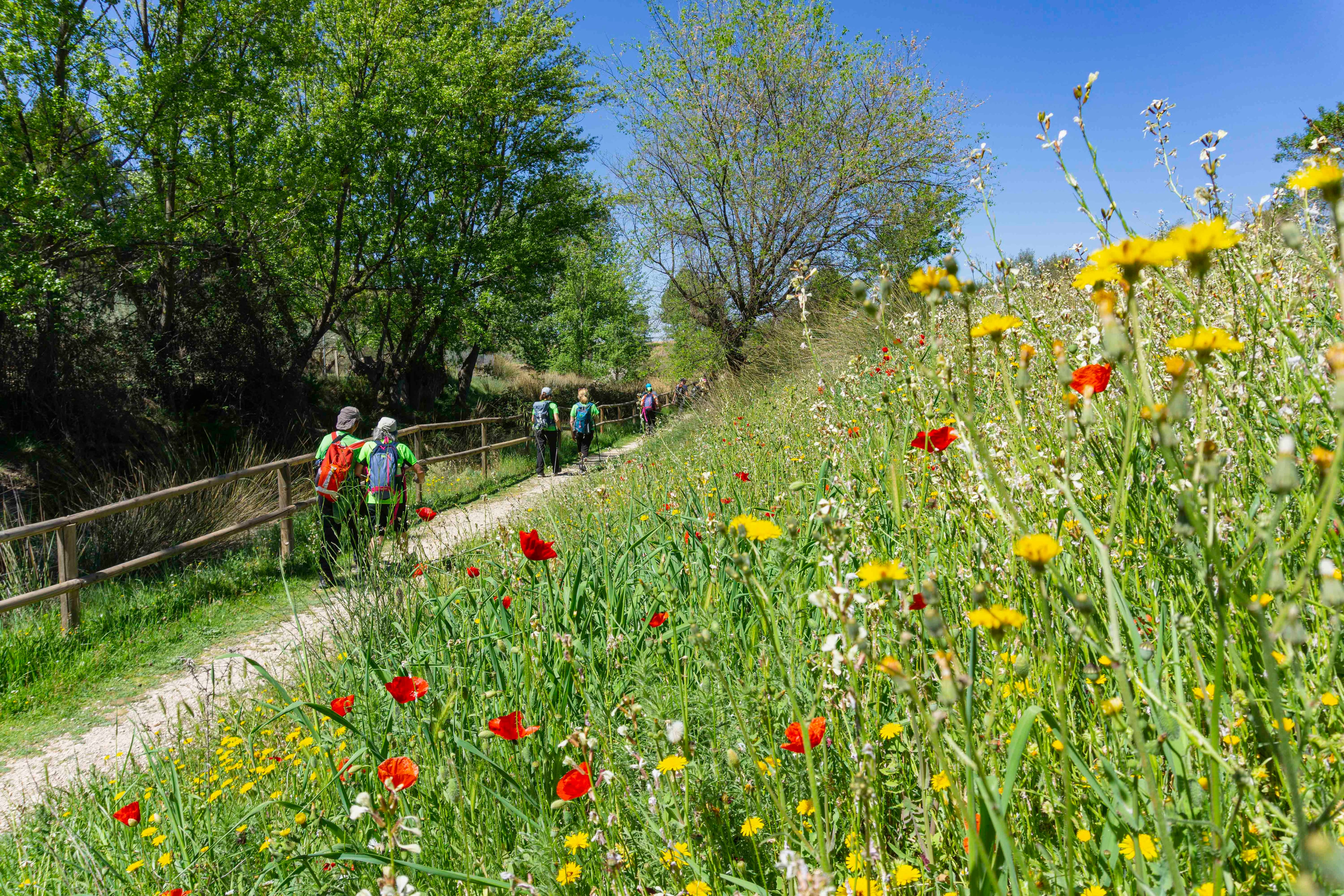 Aviana en la ruta de las ermitas de Ibi