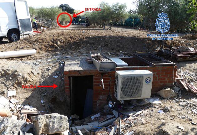 Zulo encontrado con plantación de marihuana.