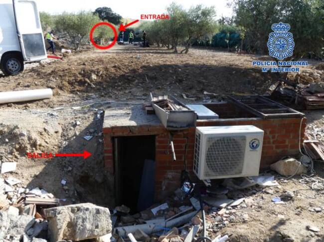 Zulo encontrado con plantación de marihuana.