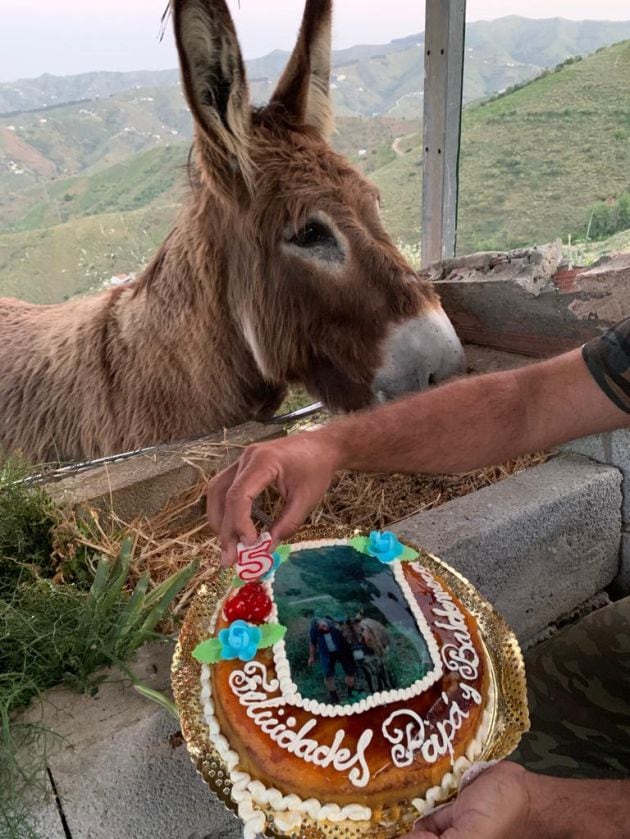 Baldomera cumplió cinco años hace unos días y sus dueños le hicieron una tarta de cumpleaños