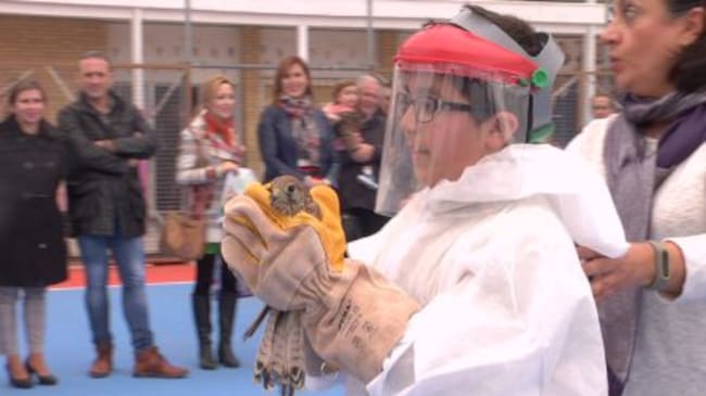 Abrahán fue el encargado de liberar el ave recuperada en el CREA