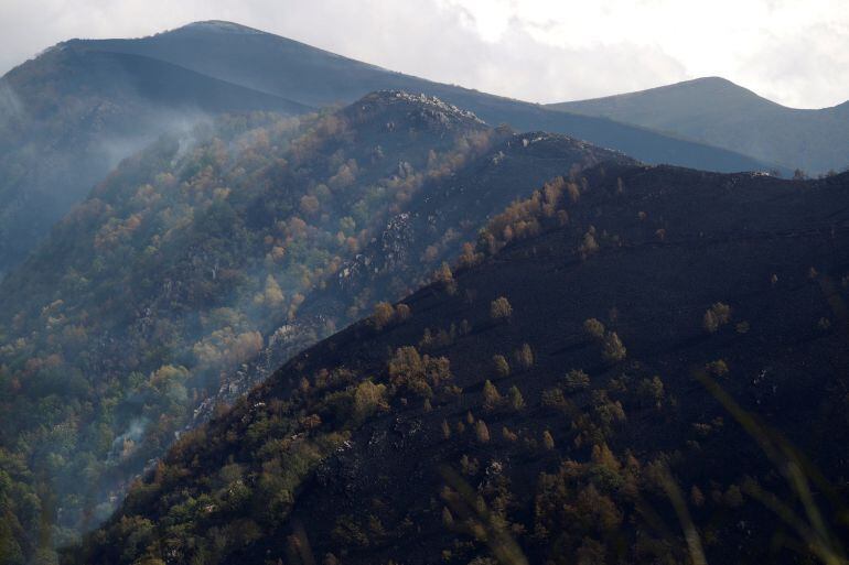 La ola de incendios arrasó 35.500 hectáreas en Galicia