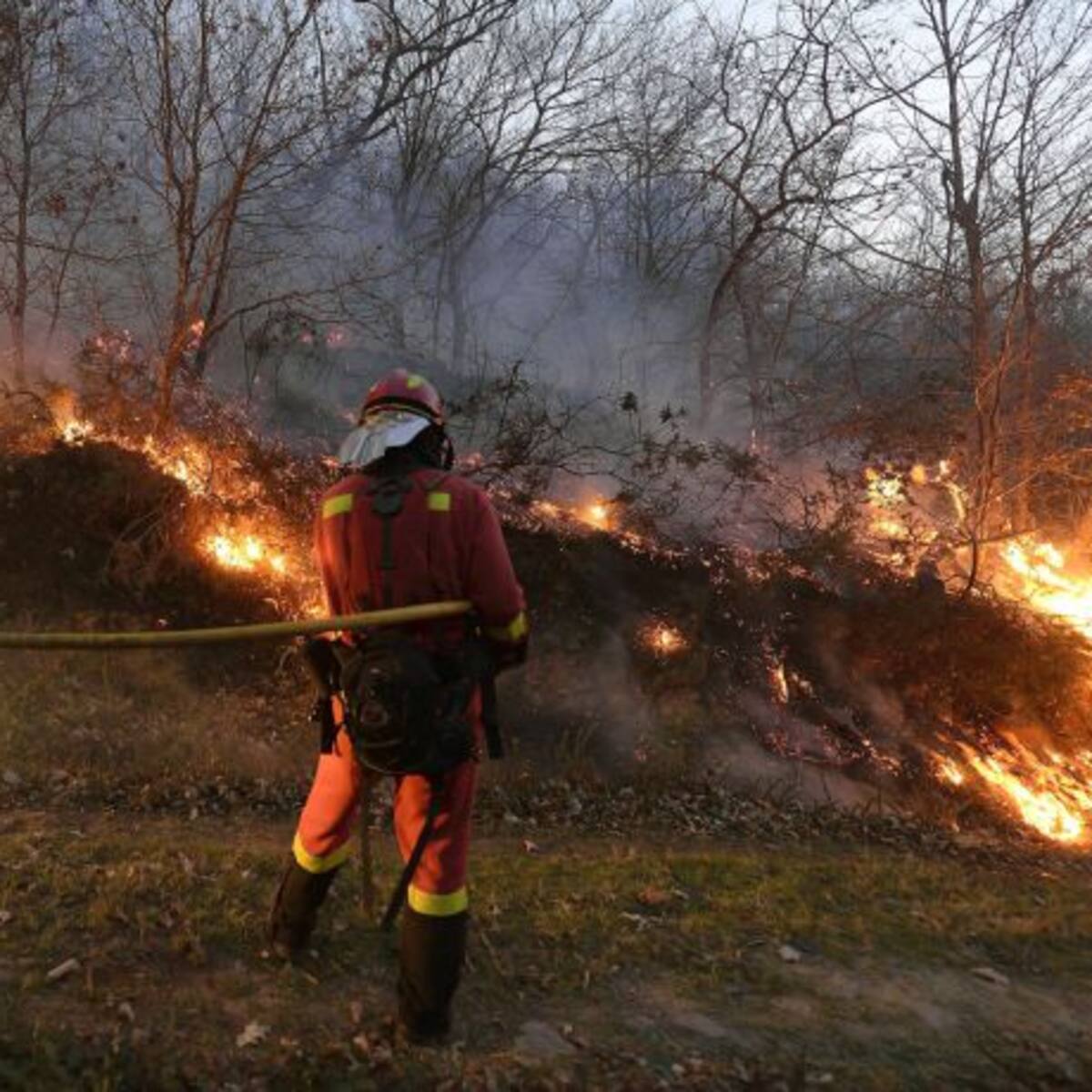 Cantabria activa el nivel 2 del operativo de incendios forestales en 8 comarcas