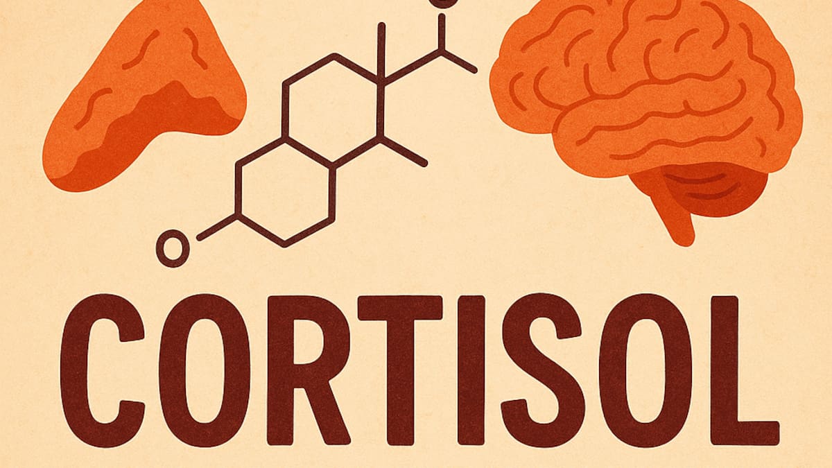 El cortisol: la hormona del estrés que también puede ser nuestra aliada
