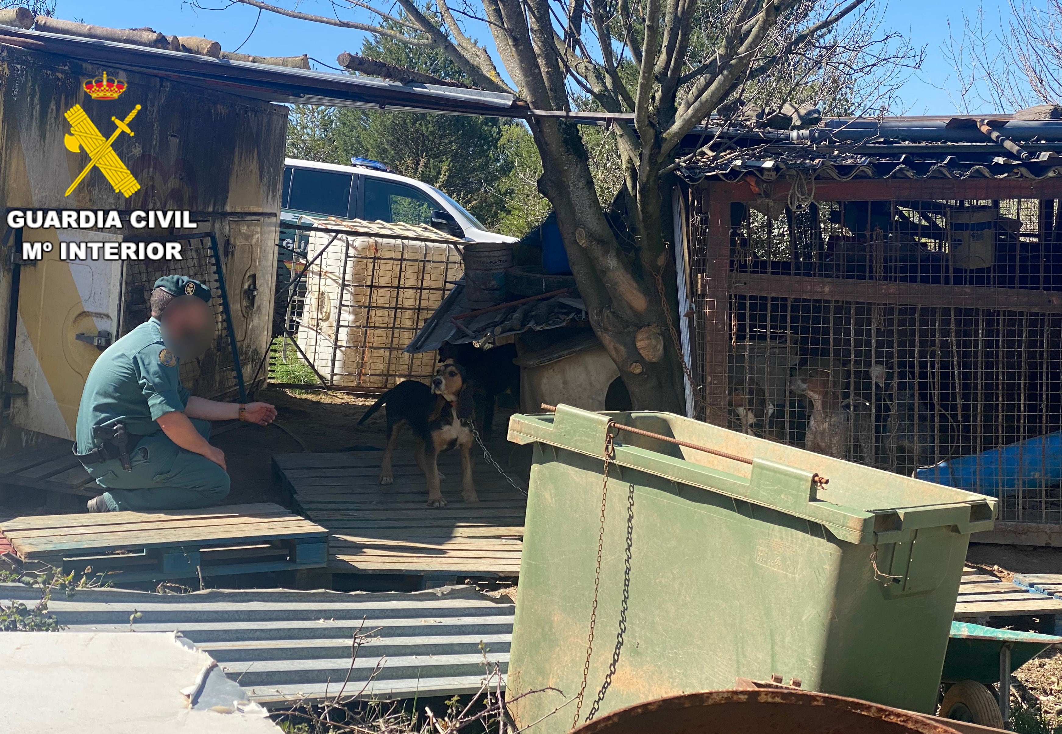 Situación de los animales