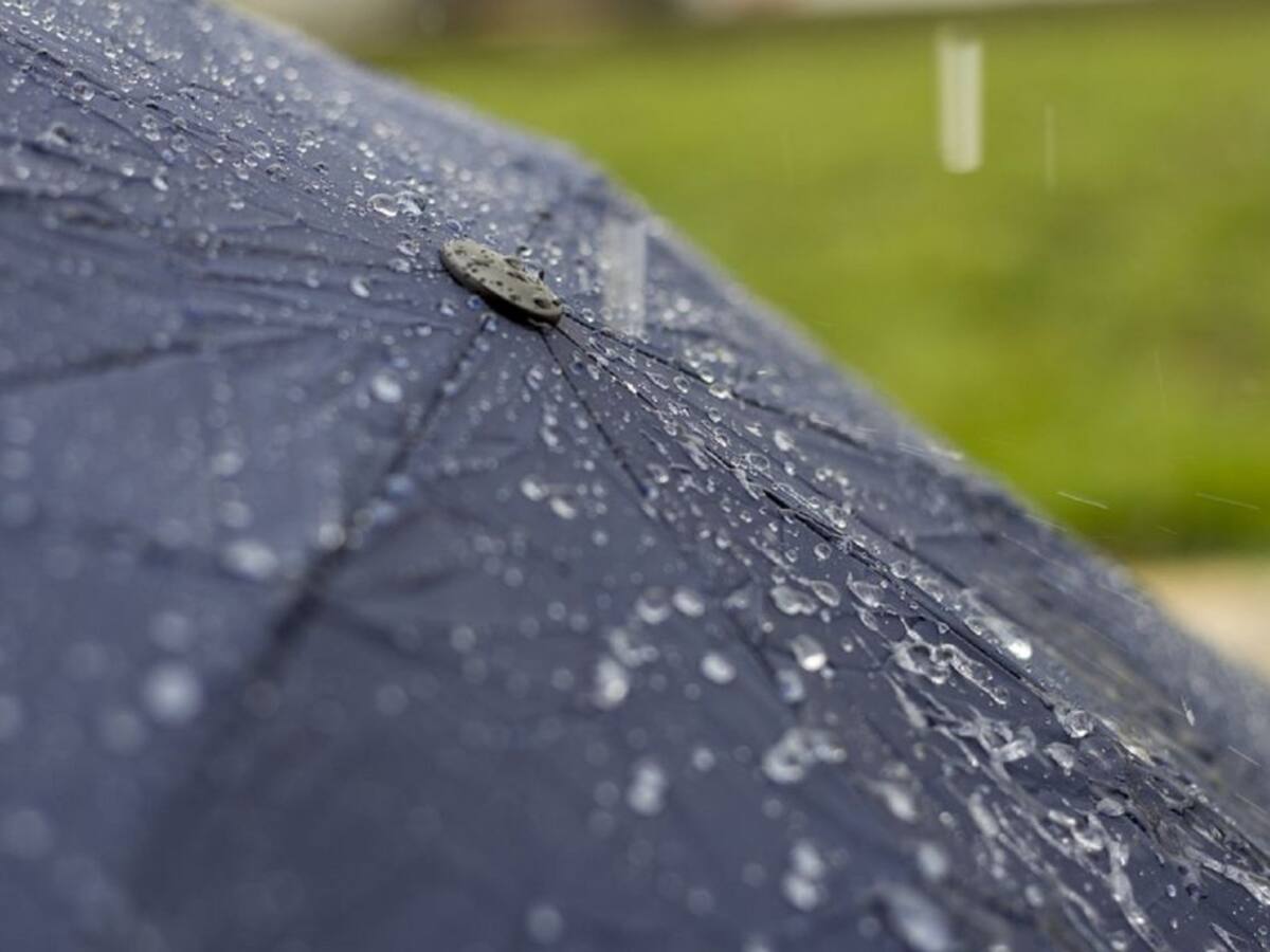 El Campo de Gibraltar entra en alerta por fuertes precipitaciones en las próximas horas
