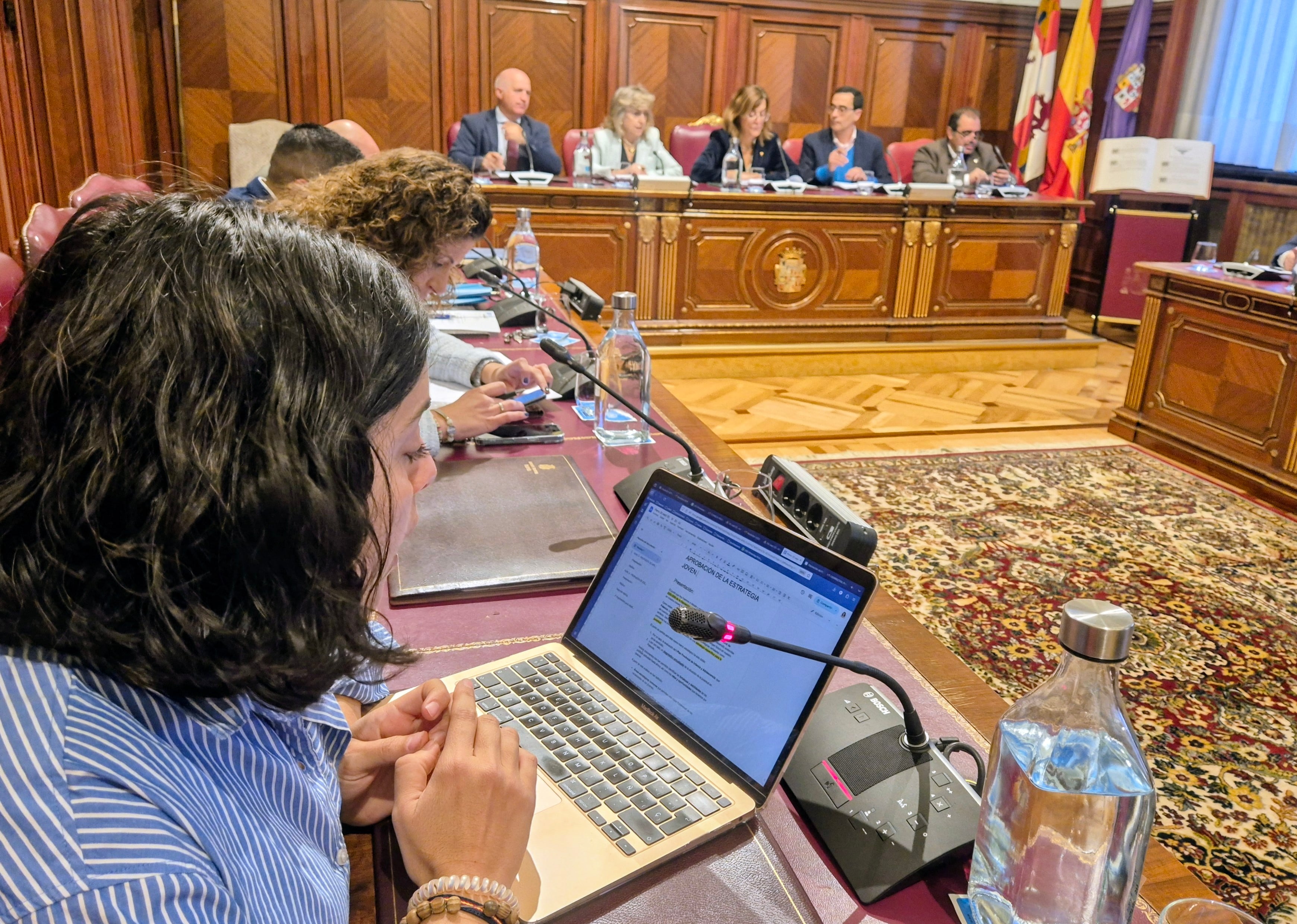 Pleno de la Diputación del mes de septiembre