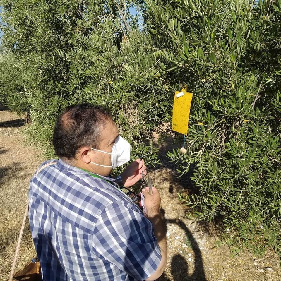 Uno de los técnicos del C.R.D.O. de Sierra Mágina observa una de las estaciones