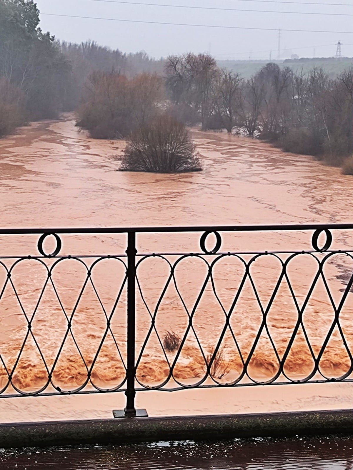 Imagen de la crecida del cauce en el río Guadalimar.