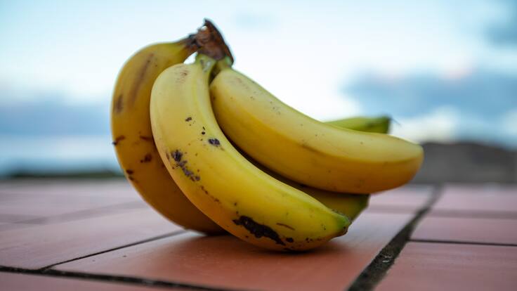 El Comentario Miguel Ángel Daswani