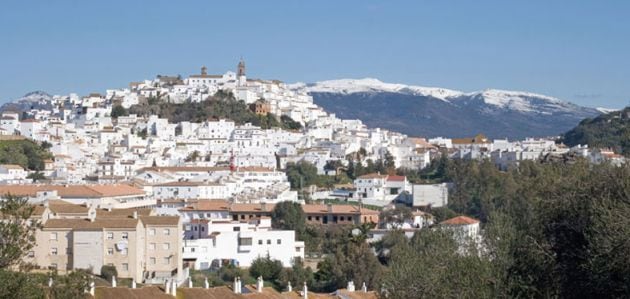 Cádiz, parque de Los Arconocales