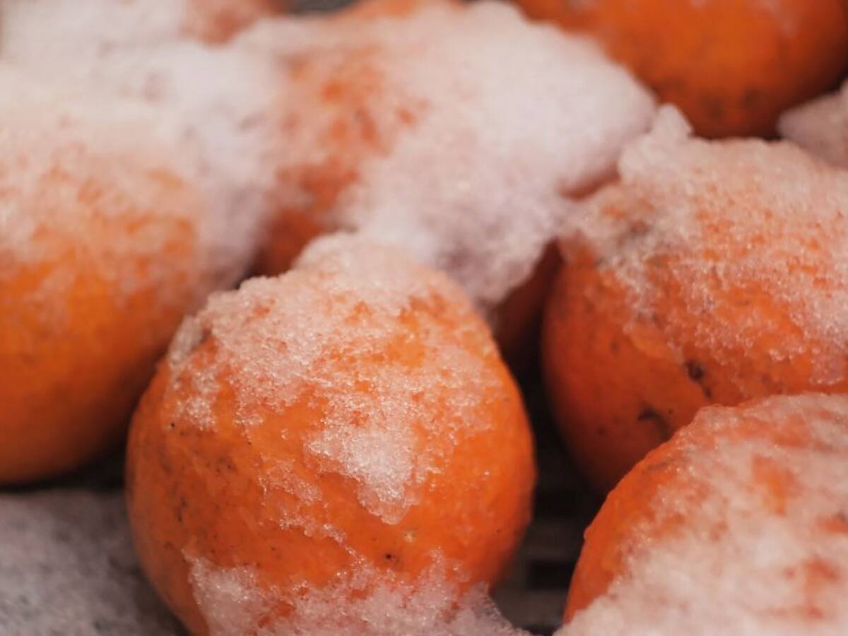 El campo "se libra" del frío y el viento