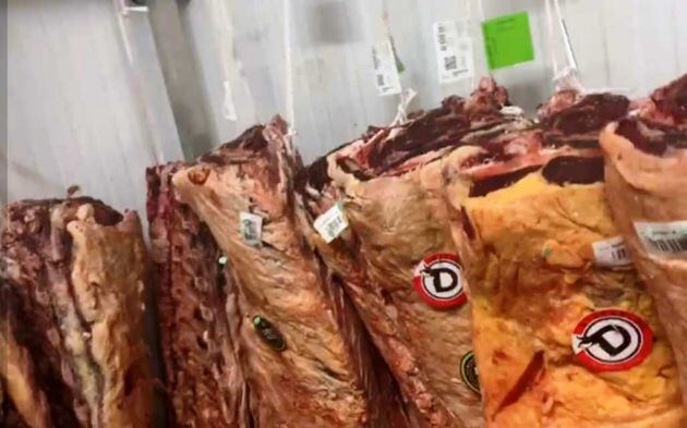 Lomos en la cámara de Jupe