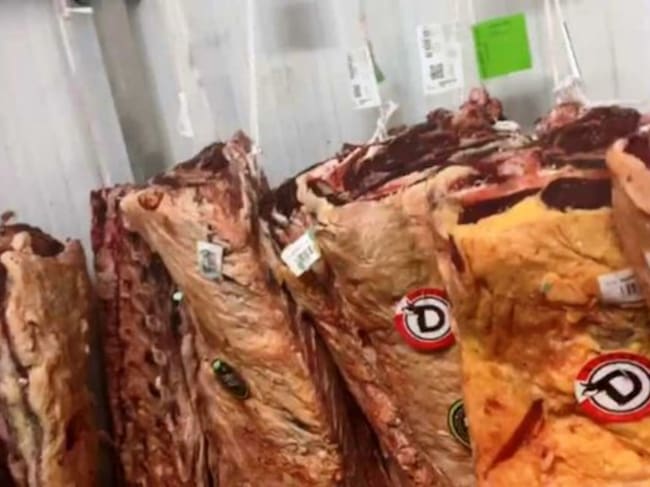 Lomos en la cámara de Jupe