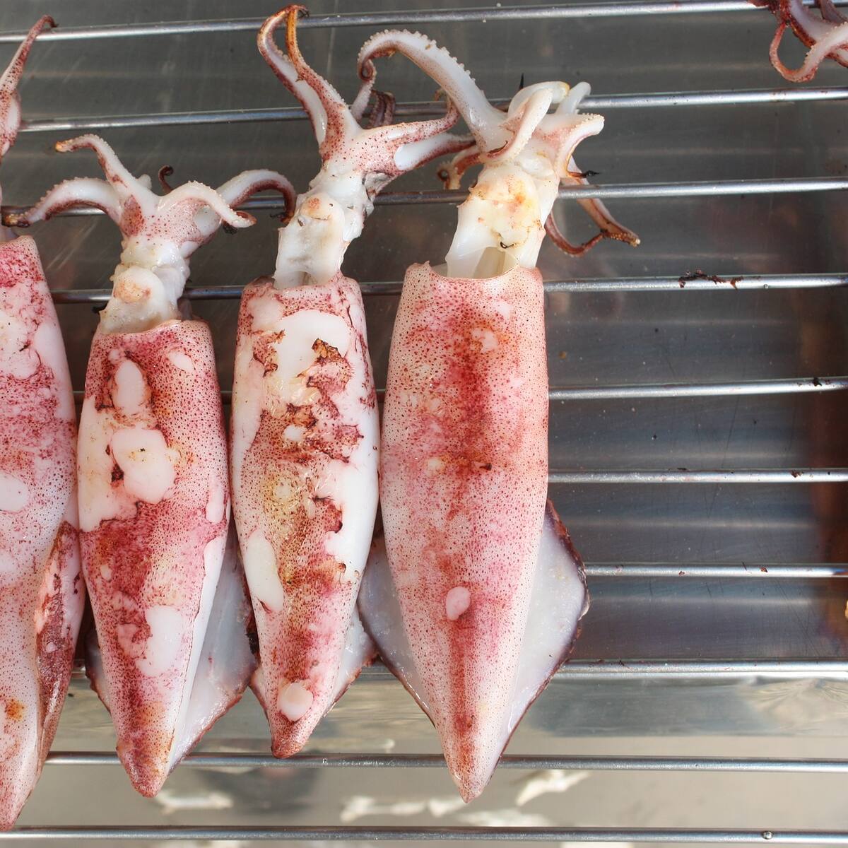 Calamares en su tinta con Edu Vega