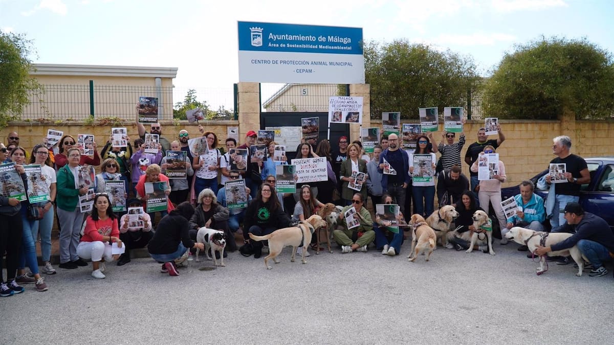 El PSOE urge a "levantar el veto de entrada" de voluntarios al Centro de Protección Animal "sin condiciones"
