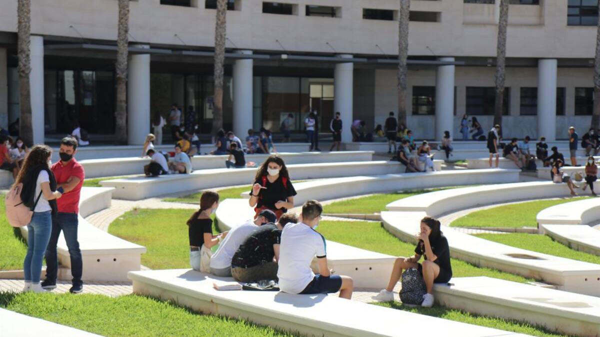 Catalina Iliescu, vicerrectora de Cultura, Deporte y Extensión Universitaria de la UA, en Hoy por Hoy Alicante