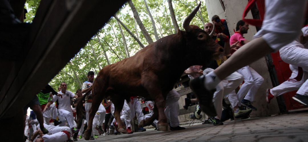 Los toros en las calles de Pamplona durante los Sanfermines
