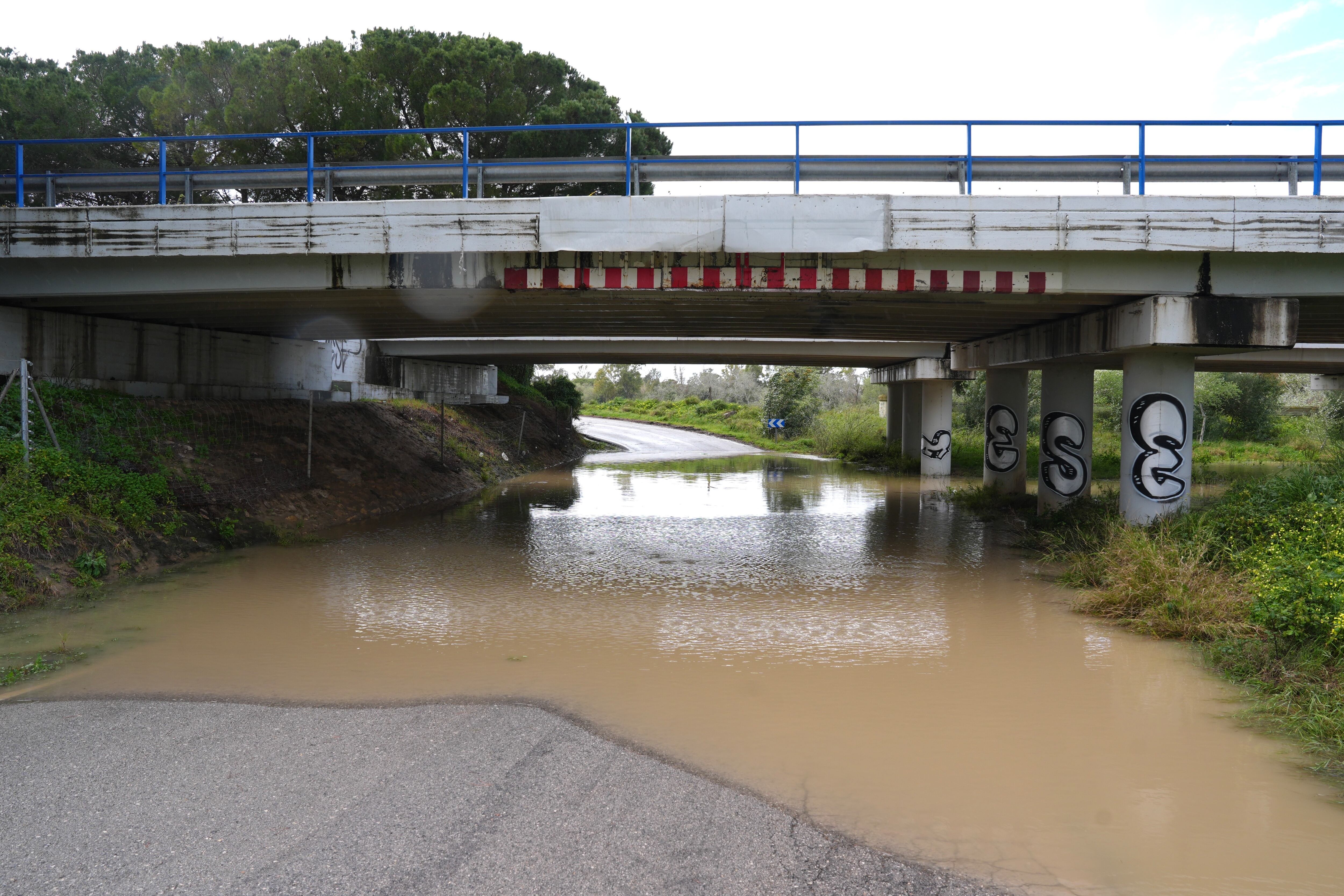 La carretera CA-3113 afectada por el desbordamiento del río Guadalete a su paso por Jerez de la Frontera
