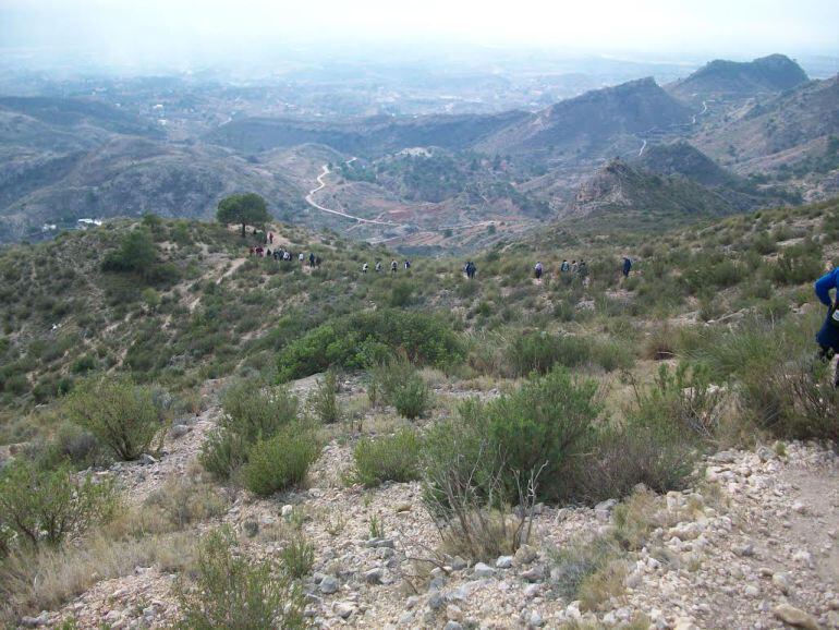 Medidas de prevención de incencidos de cara a la época estival