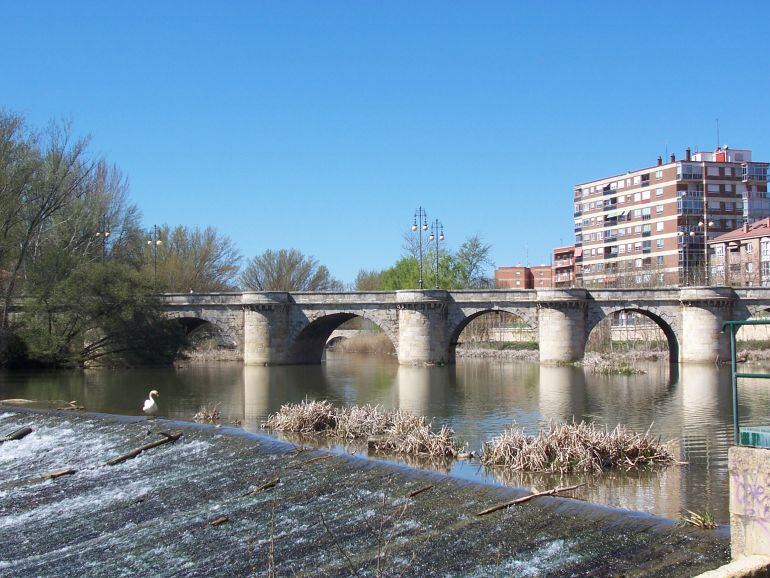 Río Carrión a su paso por el Puente Mayor