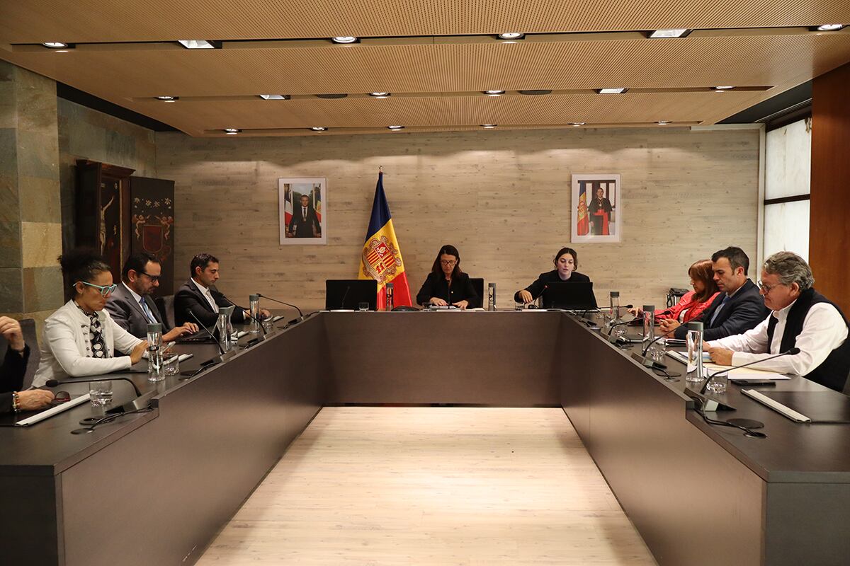 Sessió de comú d&#039;Ordino d&#039;aquest dijous en la què s&#039;ha comentat la hipotètica sortida del soci majoritari de SAETDE