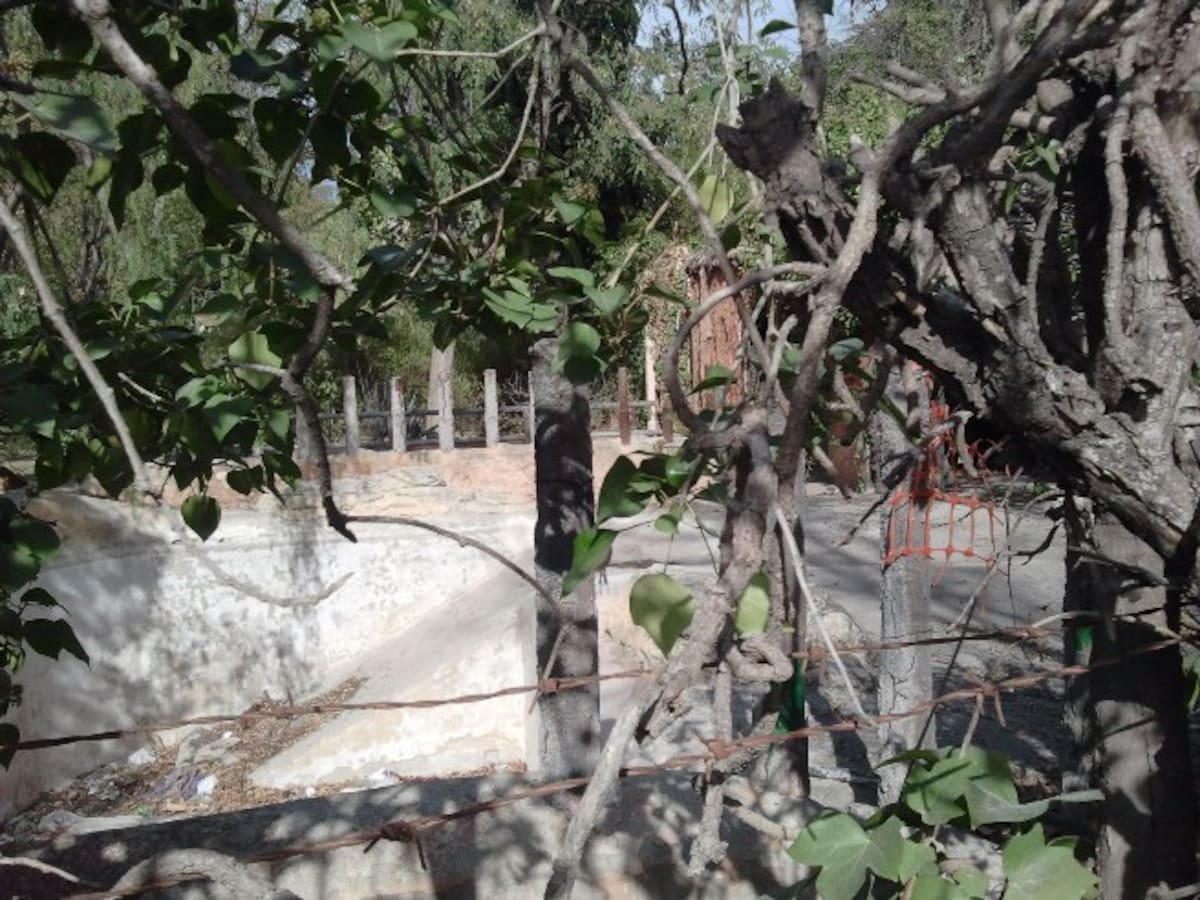 Aspecto en el que se encuentran algunos de los espacios que albergaban algunos animales