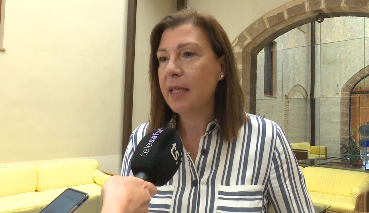 Cristina Moreno esta mañana en la reunión semestral de balance del CDT.