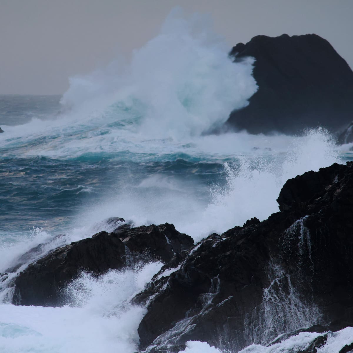 El Centro Oceanográfico de Gijón cumple 25 años preocupado por el cambio climático