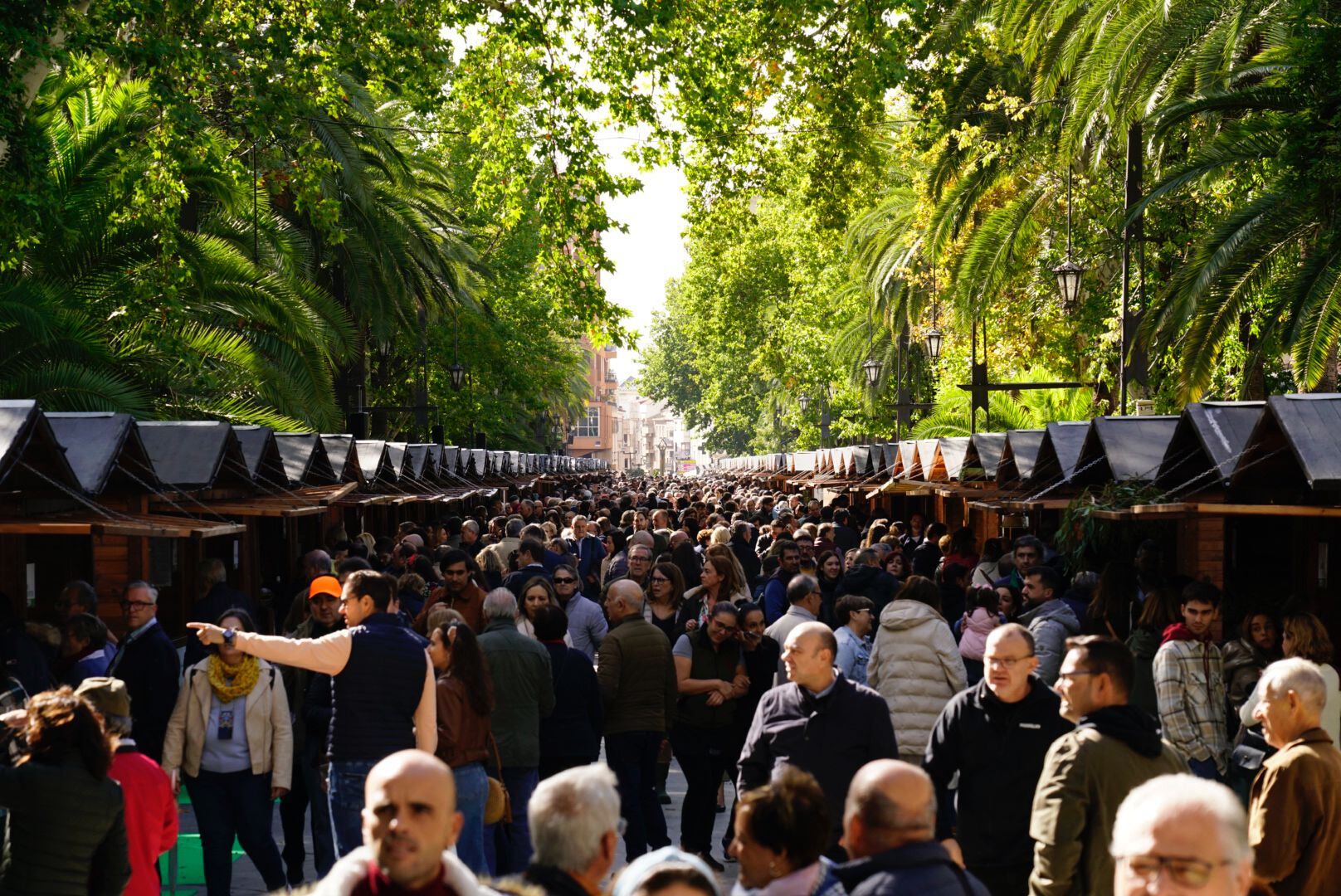 Feria de la X Feria del Primer Aceite de Jaén en Linares