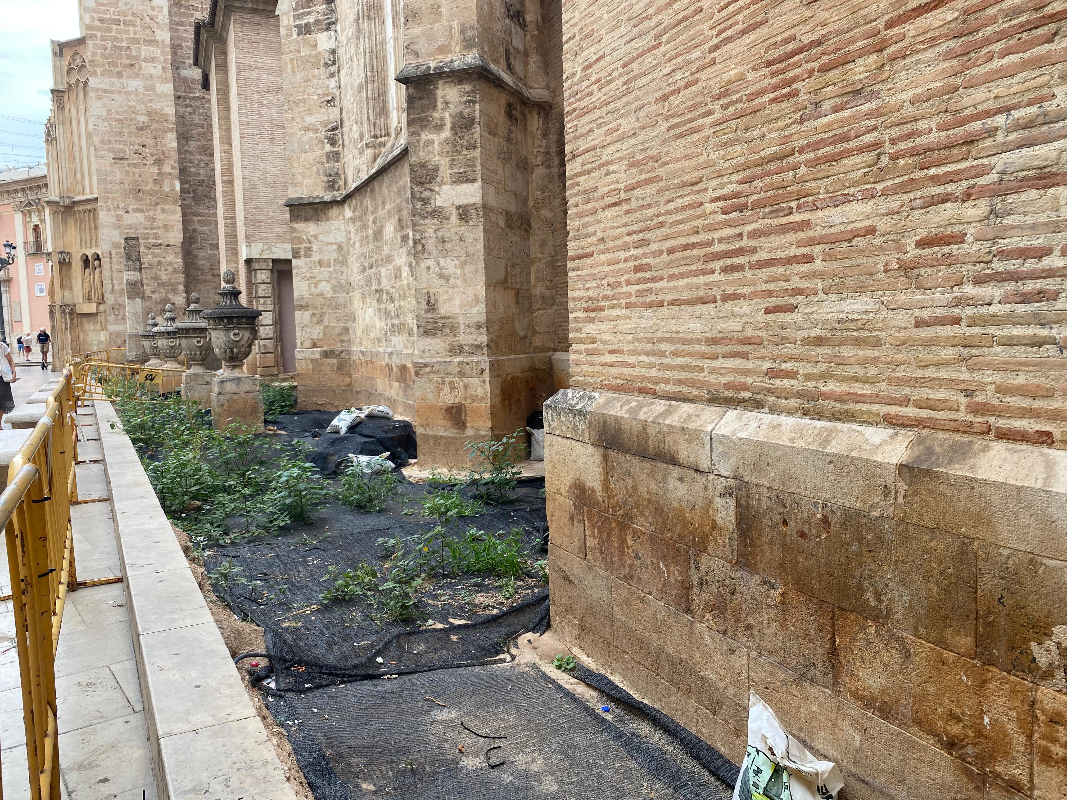 Imagen del entorno del Micalet