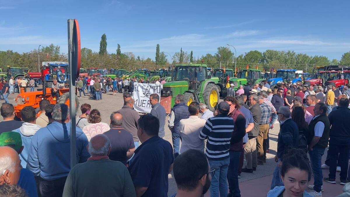 Agricultores y ganaderos de Guadalajara sacan 300 tractores a la calle contra la Agenda 2030