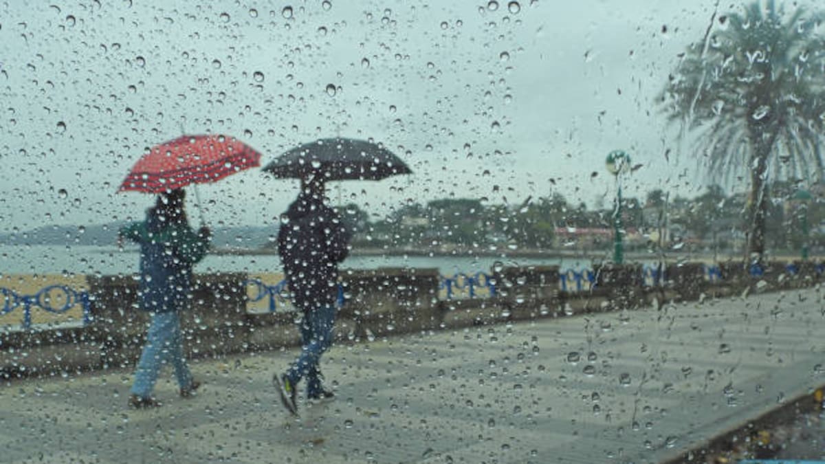 Felipe Bastida, investigador del CSIC, sobre las lluvias persistentes