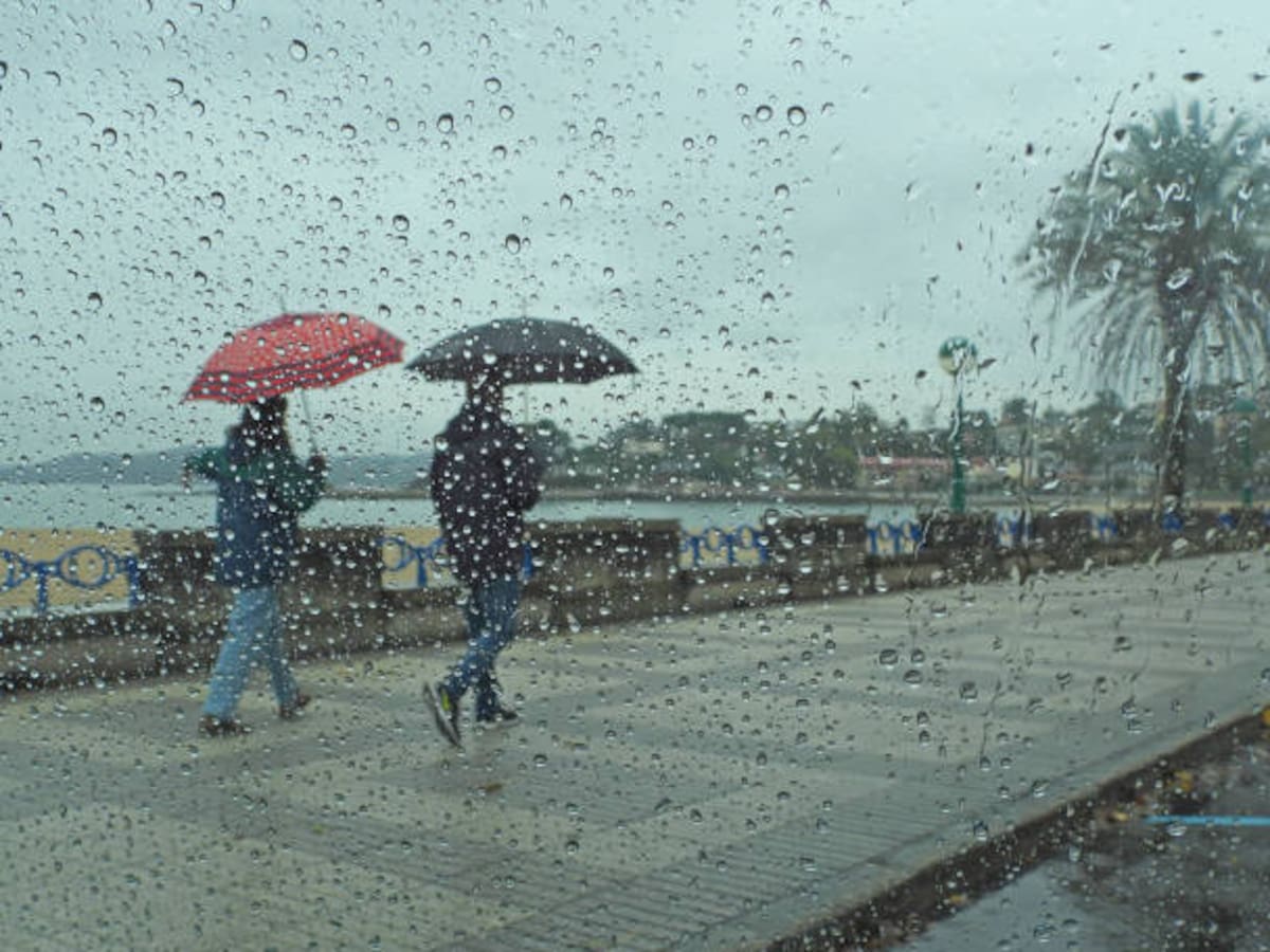 Felipe Bastida, investigador del CSIC, sobre las lluvias persistentes