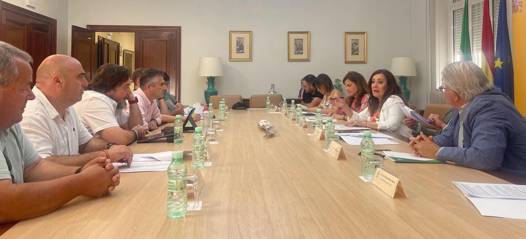 Reunión comisión provincial seguimiento PFEA