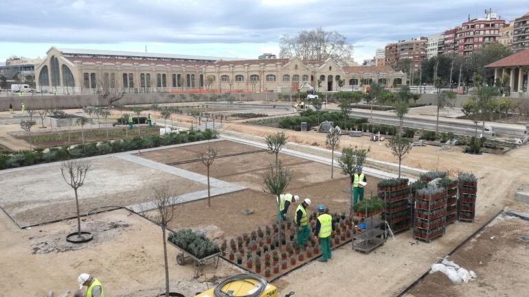 Obras en el Parque Central