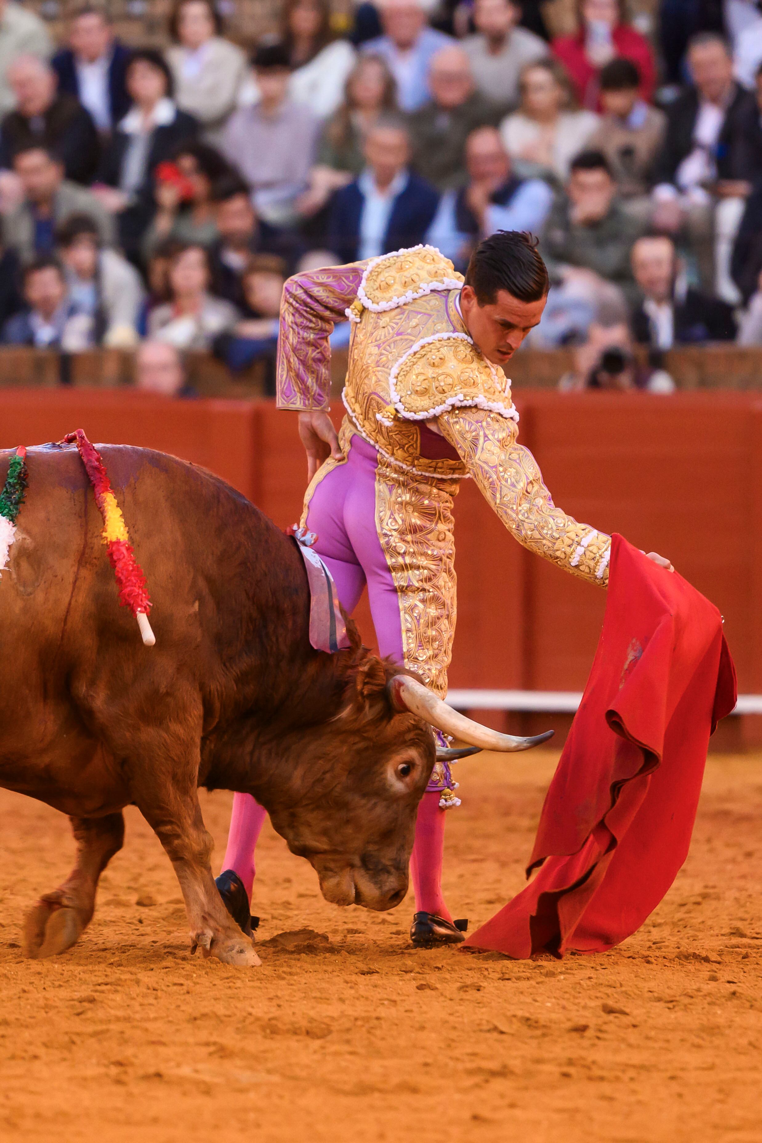 SEVILLA, 30/04/2025.- El diestro David Galán con su primer toro de la tarde este miércoles, en el cuarto festejo de abono en La Real Maestranza de Sevilla. EFE/ Raúl Caro
