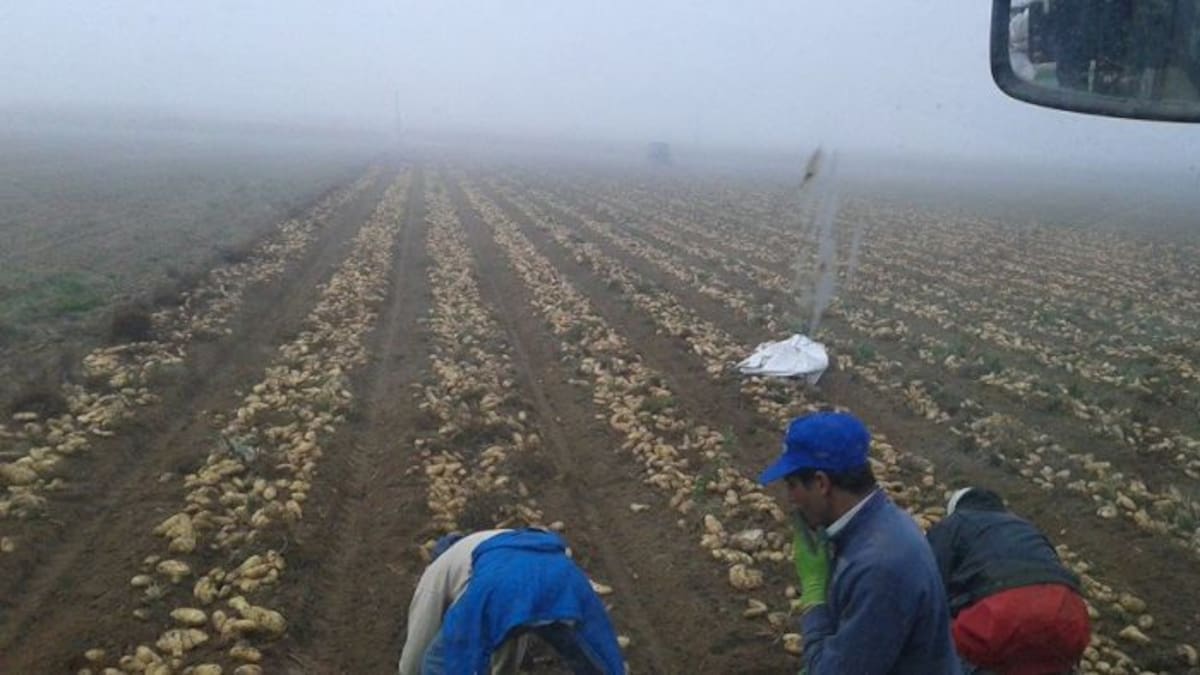 El campo en cinco años: 1.700 agricultores y 14.000 hectáreas menos, el lácteo en retroceso y un crecimiento exponencial de costes