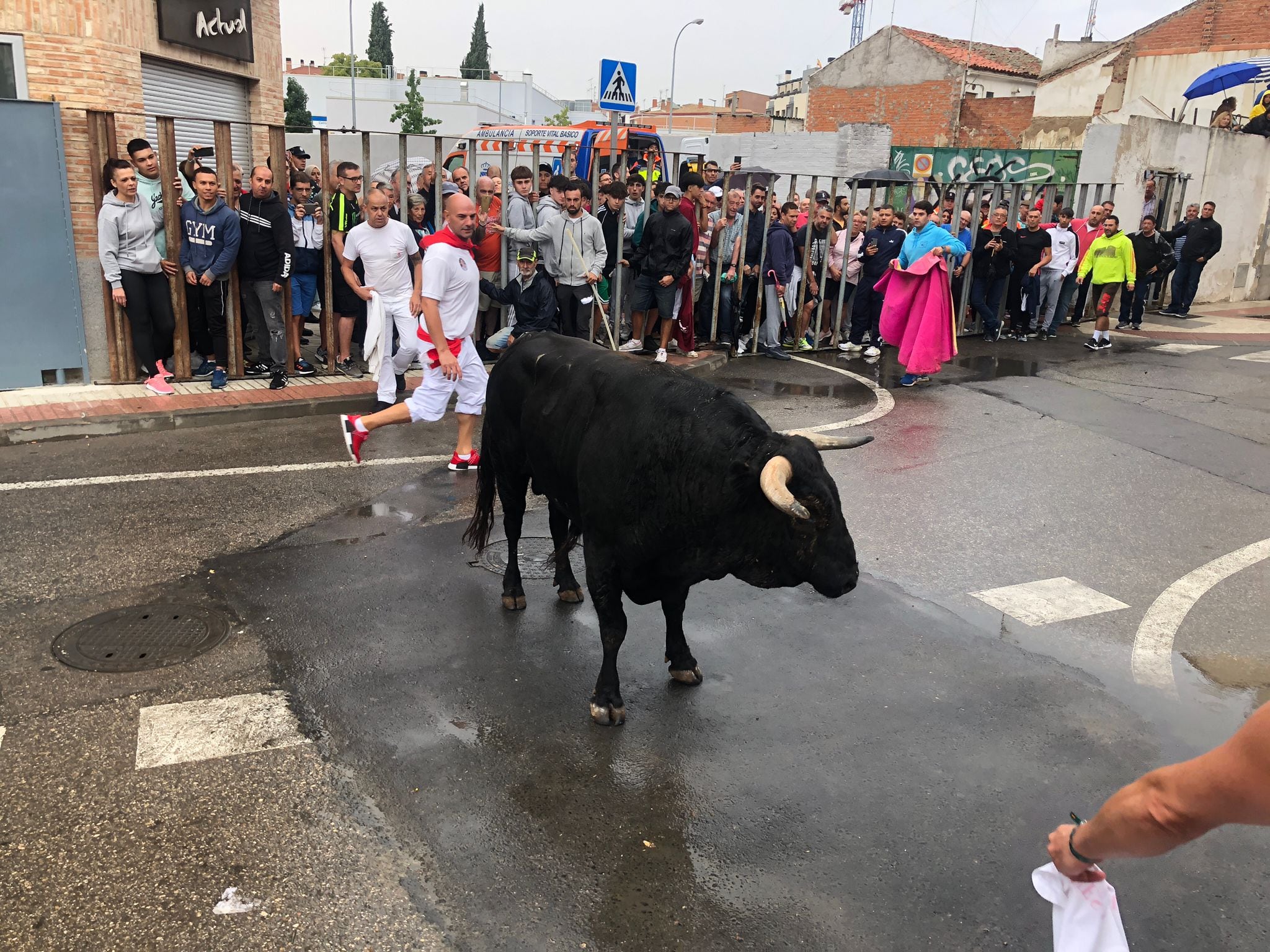 Parte del primer encierro de las fiestas de Fuenlabrada se ha celebrado bajo la lluvia.