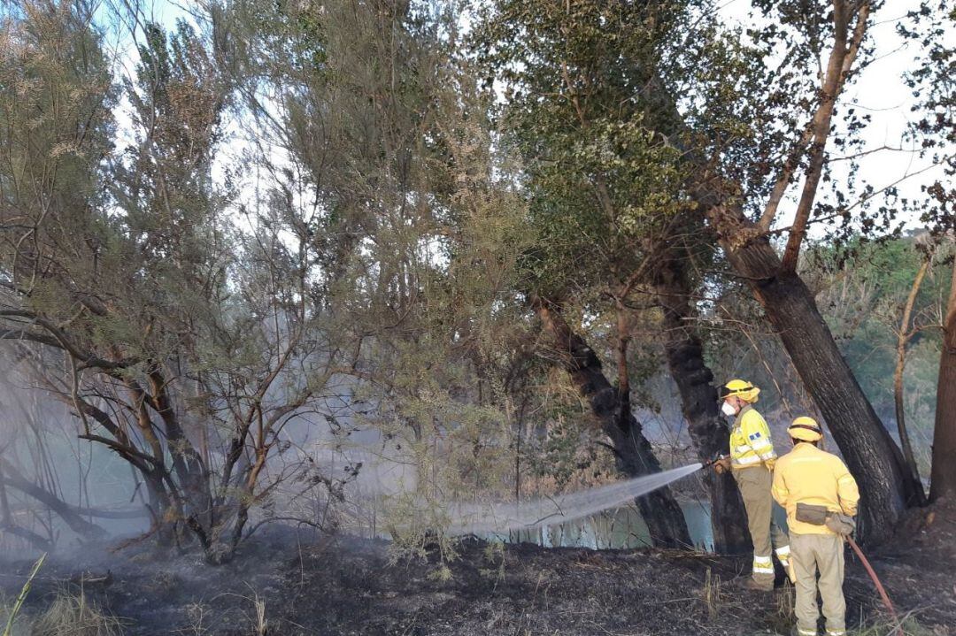 Labores de extinción en el incendio forestal declarado en Casas de Ves