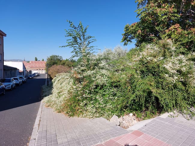 Paseo del Cementerio